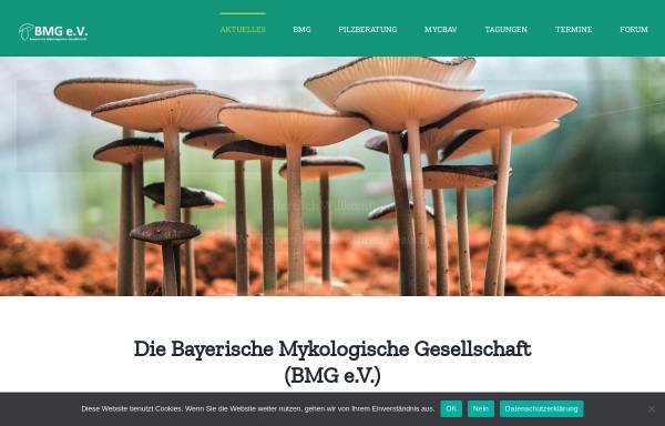 Vorschau von pilze-bayern.de, Bayerische Mykologische Gesellschaft (BMG e.V.)