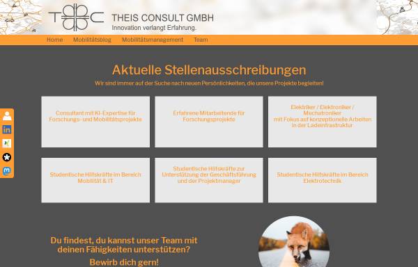 Theis Consult GmbH