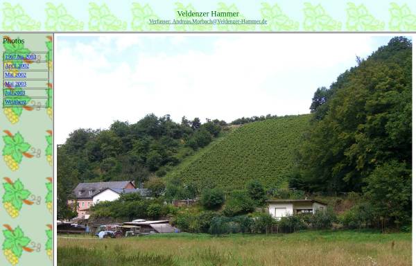 Vorschau von www.veldenzer-hammer.de, Weinhof zum Bacchus
