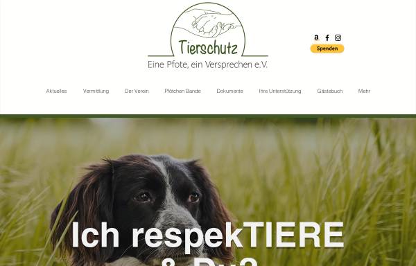 Vorschau von www.tierheim-cuxhaven.com, Tierschutz Cuxhaven und Umgebung e.V.