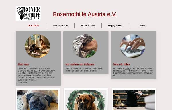 Vorschau von www.boxernothilfe-austria.at, Boxernothilfe Austria e. V.