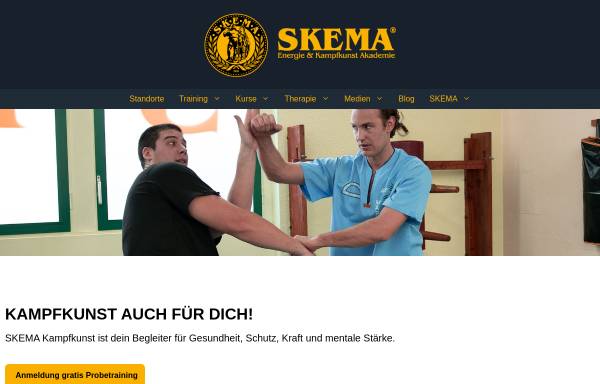 Vorschau von skema.ch, SKEMA Schweiz