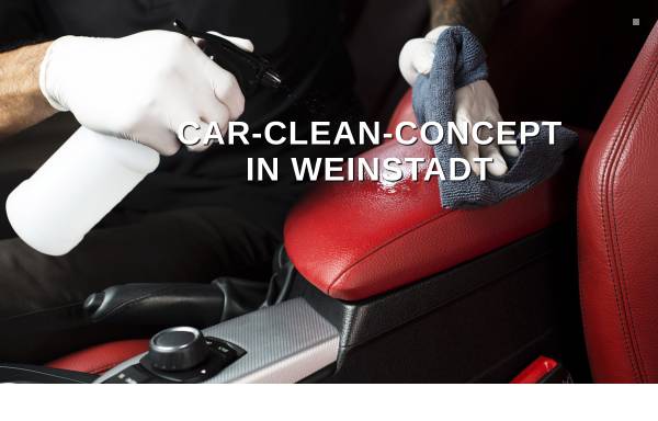 Car Clean Concept