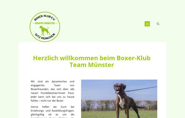 Vorschau von www.boxerklub-muenster.de, Boxerklub Ortsgruppe Münster