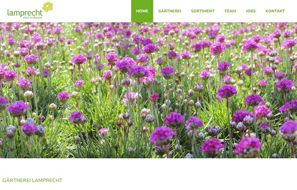 Vorschau von www.lamprecht-pflanzen.ch, Lamprecht Pflanzen AG