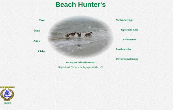 Vorschau von www.beachhunters.de, Beach Hunter's
