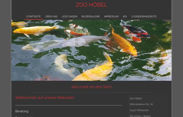 Vorschau von www.zoo-hoebel.de, Papageienzucht und Zoohandel Höbel