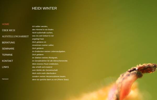 Vorschau von www.heidiwinter.at, Heidi Winter
