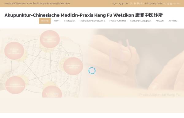 Vorschau von kang-fu.ch, Akupunktur Kang Fu