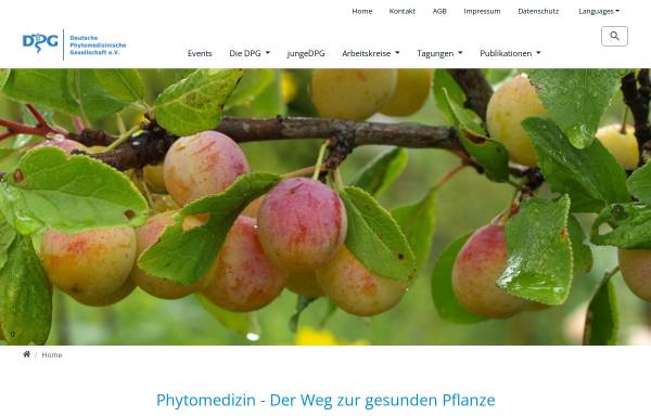 Vorschau von phytomedizin.org, Deutsche Phytomedizinische Gesellschaft e.V.