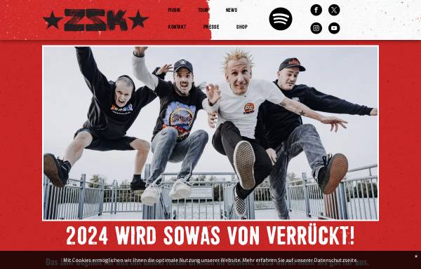 Vorschau von www.skatepunks.de, ZSK