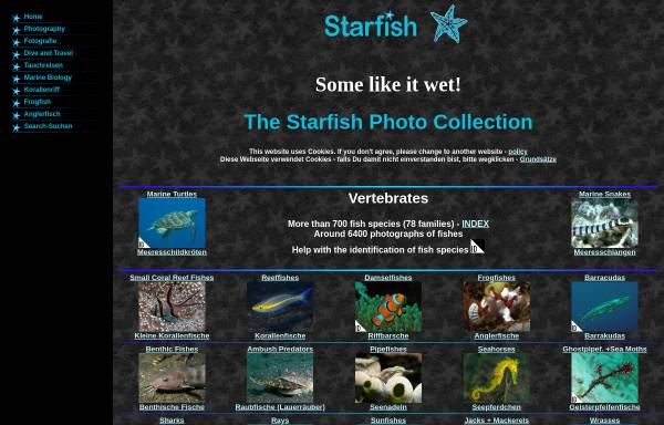 Vorschau von www.starfish.ch, Zubi