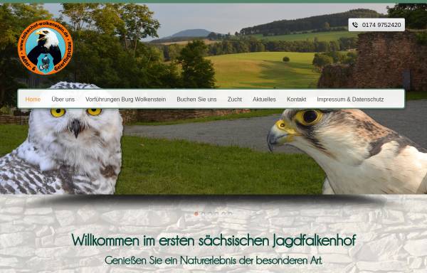 Vorschau von www.falkenhof-augustusburg.de, Sächsischer Adler- und Jagdfalkenhof in Augustusburg