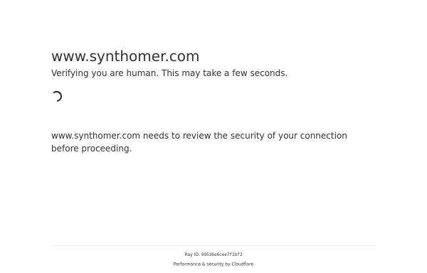 Synthomer GmbH
