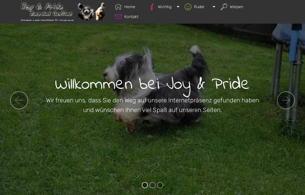 Vorschau von www.joy-and-pride.de, Joy & Pride