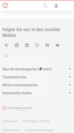 Vorschau der mobilen Webseite berufenet.arbeitsagentur.de, Berufsziel Slawist/in