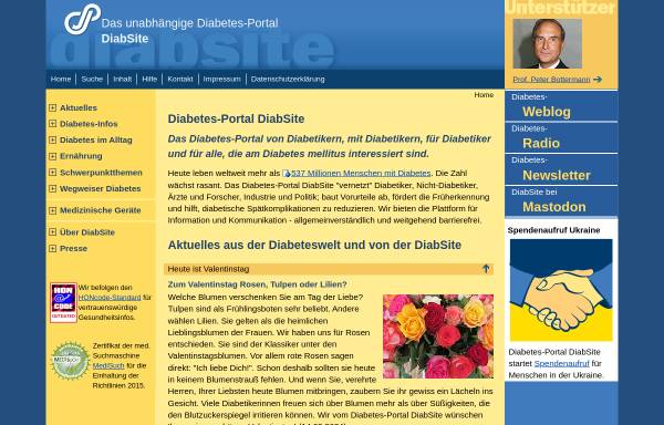 Vorschau von www.diabsite.de, DiabSite