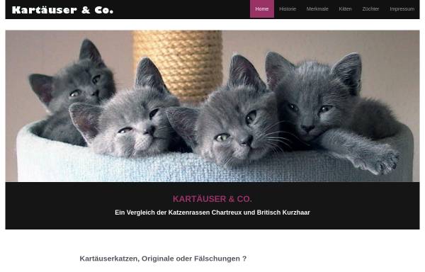 Vorschau von www.kartaeuser-cha.info, Kartäuser & Co.