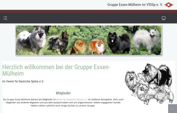 Vorschau von www.essener-spitze.de, Gruppe Essen-Muelheim im Verein für Deutsche Spitze e.V.