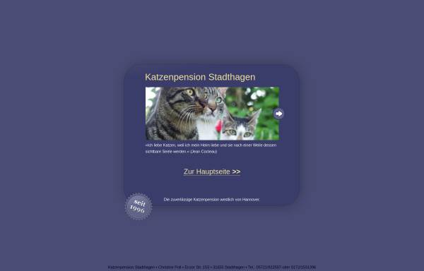 Vorschau von www.katzenpension-stadthagen.de, Katzenpension Stadthagen