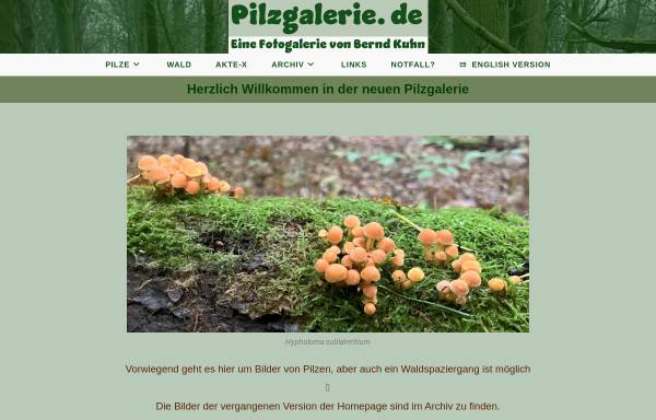 Vorschau von pilzgalerie.de, Pilzgalerie