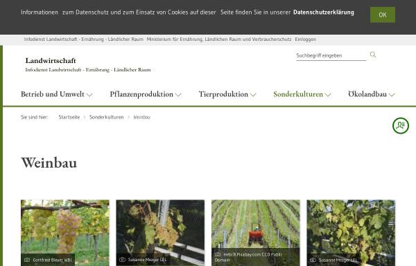 Vorschau von www.landwirtschaft-bw.info, Informationssystem Weinbau
