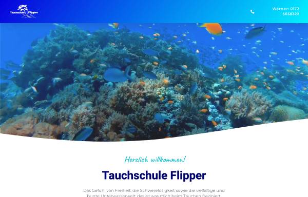 Vorschau von www.tauchschule-flipper.de, Tauchschule Flipper