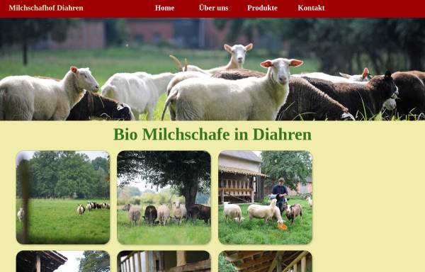 Milchschafhof Diahren