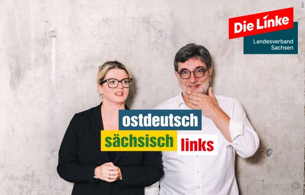 Vorschau von portal.dielinke-in-sachsen.de, Die Linke. Sachsen