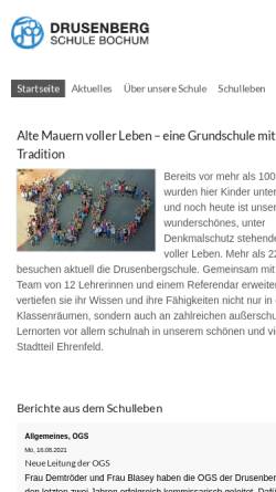 Vorschau der mobilen Webseite drusenbergschule.de, Brüder-Grimm-Schule