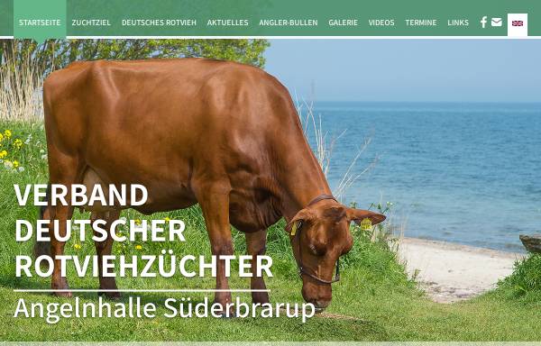 Deutsches Rotvieh / Angler - Verband Deutscher Rotviehzüchter