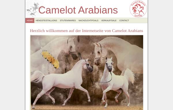 Vorschau von www.camelot-arabians.de, Camelot Arabians