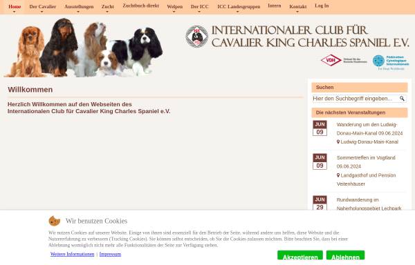 Vorschau von www.icc-cavaliere.de, Internationaler Club für Cavalier King Charles Spaniel e.V