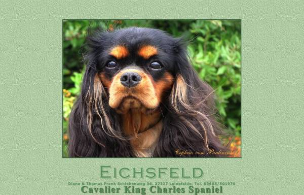 Vorschau von www.eichsfeld-cavaliere.de, vom Eichsfeld