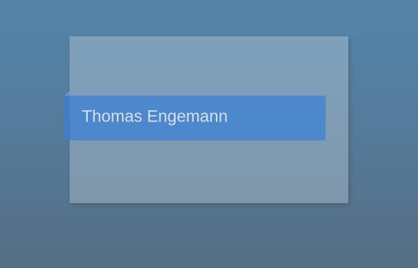 Thomas G. Engemann, Beratender Betriebswirt
