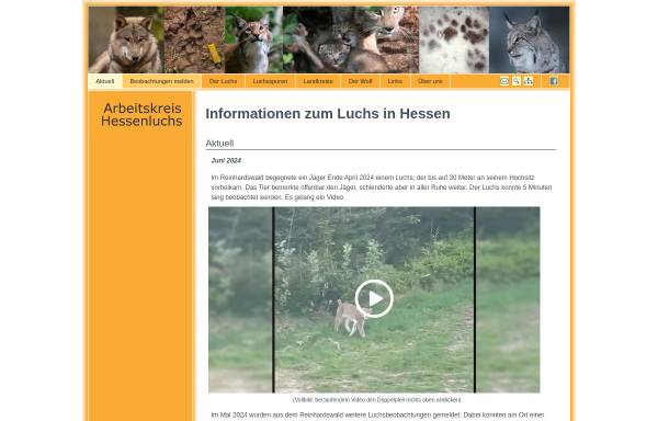 Vorschau von www.luchs-in-hessen.de, Arbeitskreis Hessenluchs