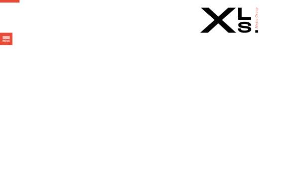 Vorschau von xls-group.com, XLS GmbH