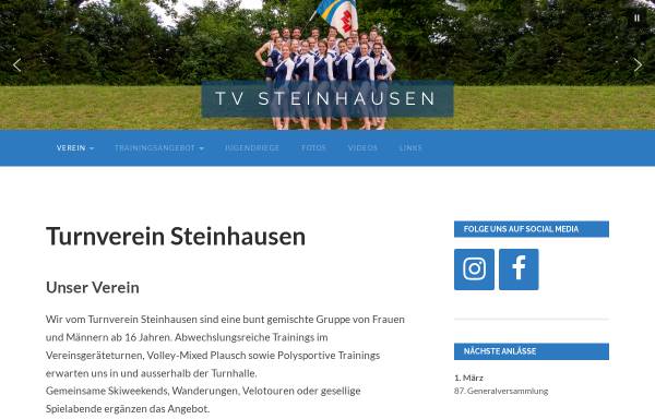 Vorschau von www.tvsteinhausen.ch, Turnverein Steinhausen