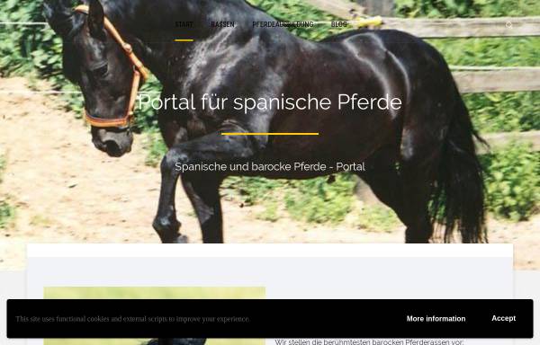 Vorschau von www.mein-pferdeforum.de, Mein-Pferdeforum