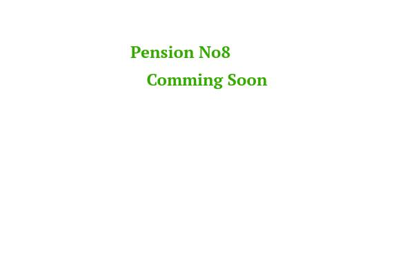 Vorschau von www.pension-no8.de, Pension No 8