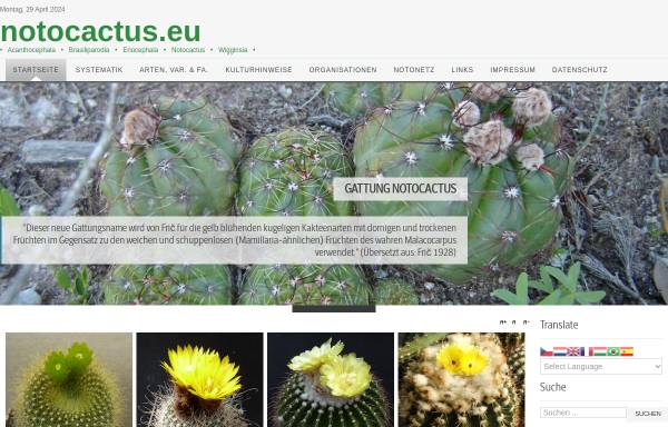 Vorschau von www.notocactus.eu, Notocactus