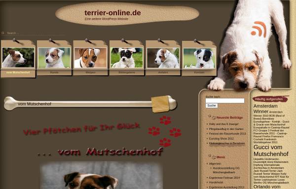 Vorschau von www.terrier-online.de, Parson Russell Terrier im FCI / VDH / KfT