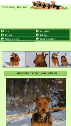 Vorschau der mobilen Webseite www.airedaleterrier-von-erikson.de, Von Erikson