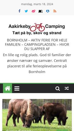 Vorschau der mobilen Webseite acamp.dk, Aakirkeby Camping