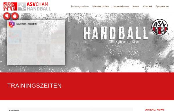 Vorschau von handball-cham.de, ASV Cham Handball