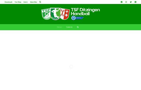 Vorschau von www.tsf-ditzingen-handball.de, TSF Ditzingen Handball