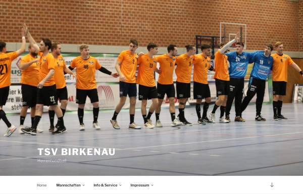 Vorschau von herrenhandball.tsv-birkenau.de, TSV Birkenau Herren-Handball und männliche Jugend