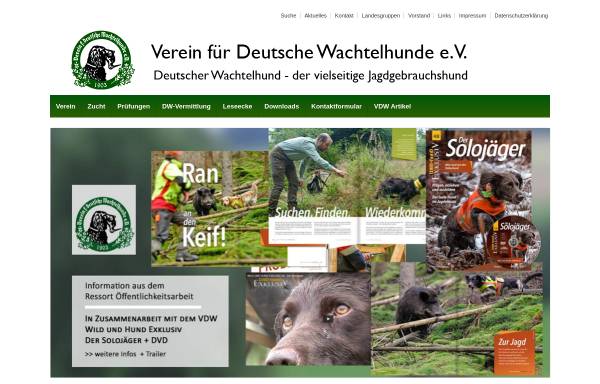 Verein für Deutsche Wachtelhunde