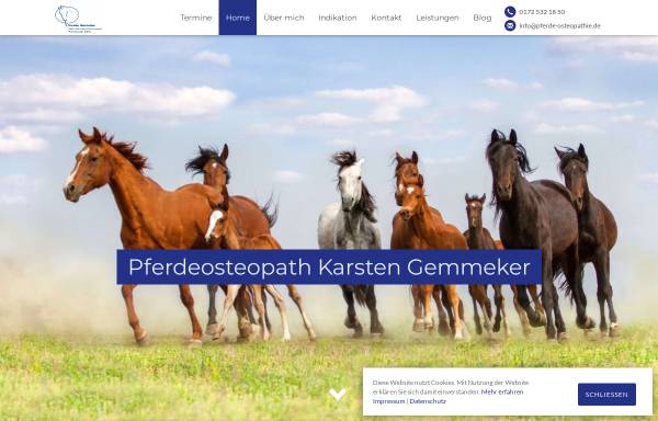 Vorschau von www.pferde-osteopathie.de, Karsten Gemmeker