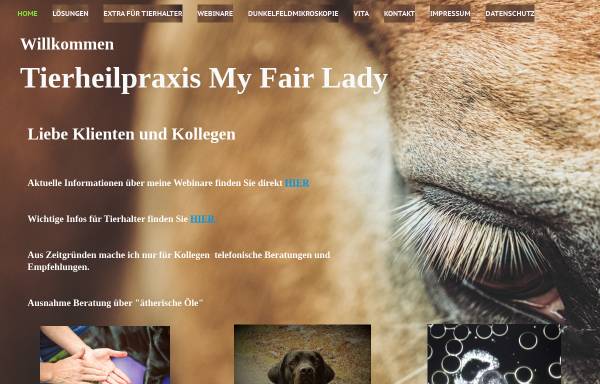 Vorschau von www.thp-my-fair-lady.de, My Fair Lady Tierheilpraxis Yvonne Fischer
